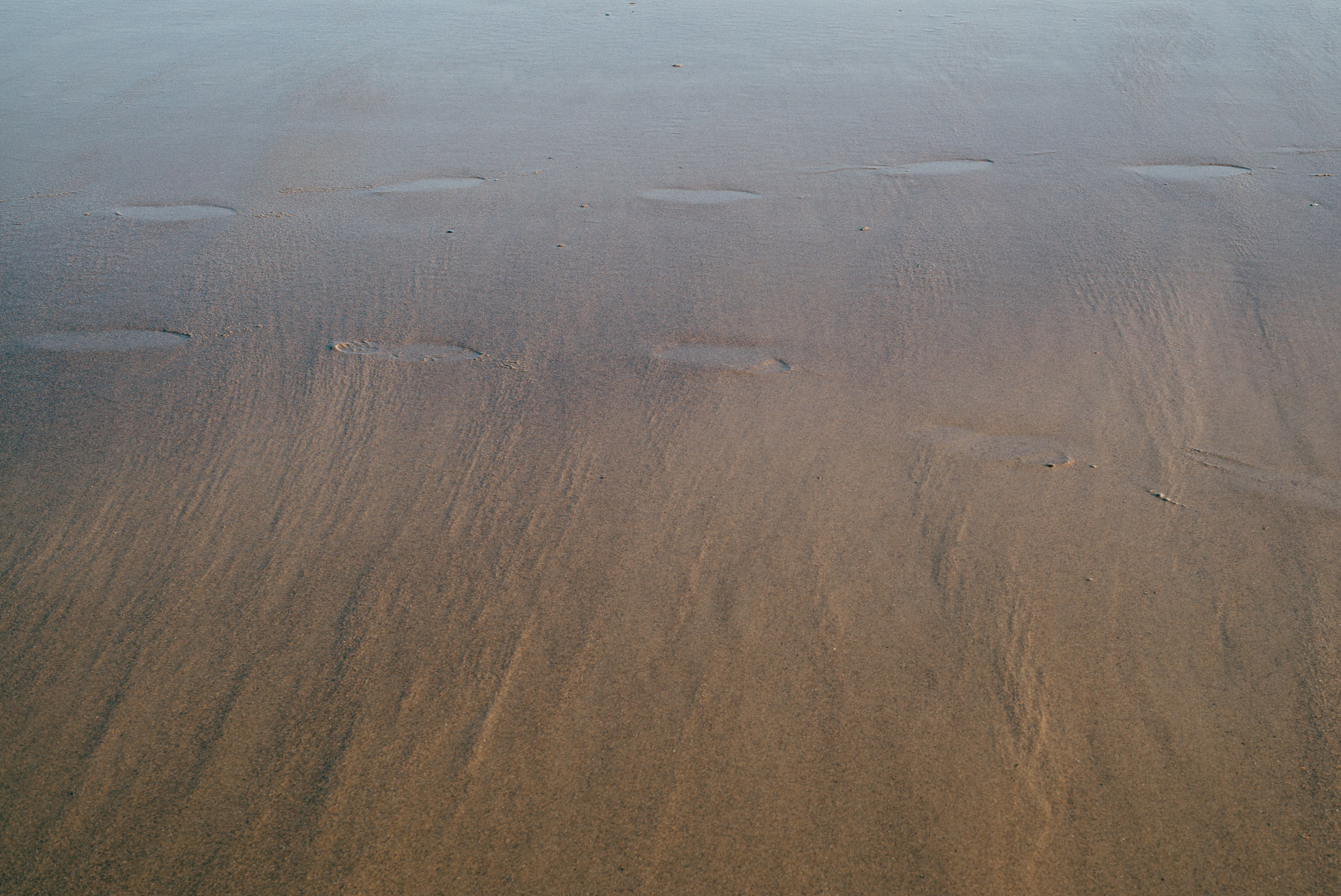 Footsteps in the sand beach cadzand netherlands